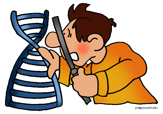 bigamy-clipart-DNA